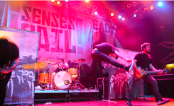 concert picture